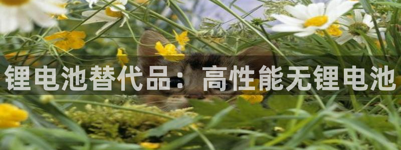 香港尊龙