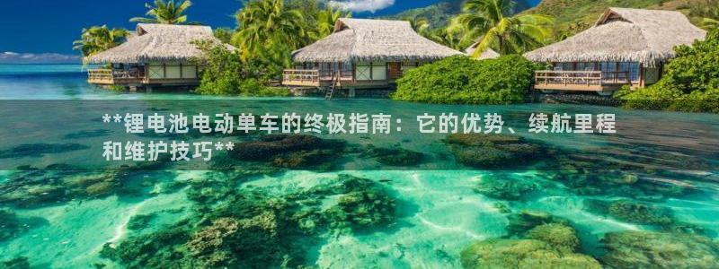 尊龙app最新版本官网