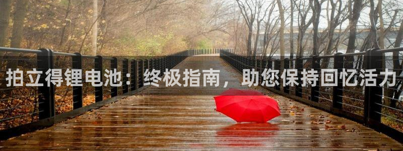 z6尊龙官方网站