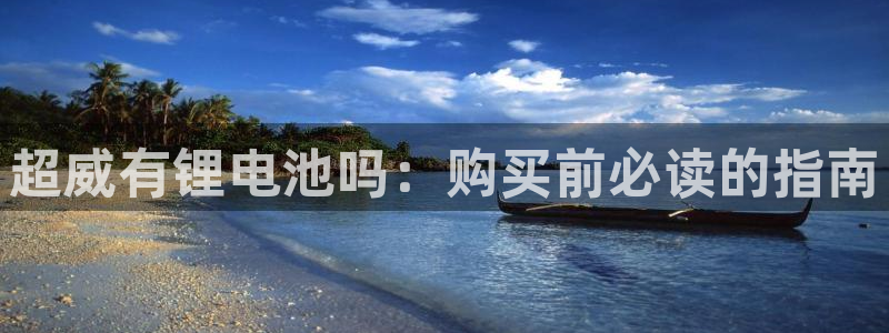 尊龙凯时输了100万