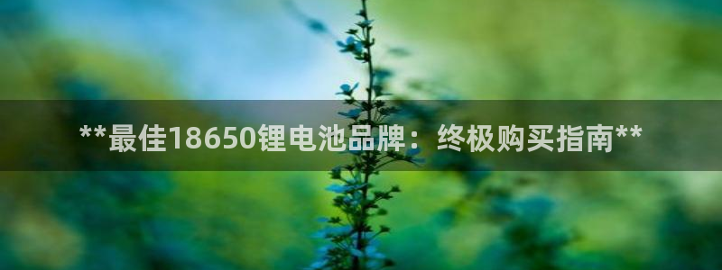 尊龙凯时代理官网入口