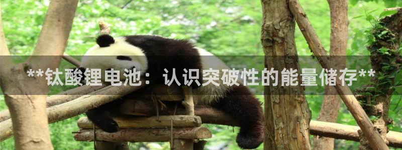尊龙人生就是博首页入口