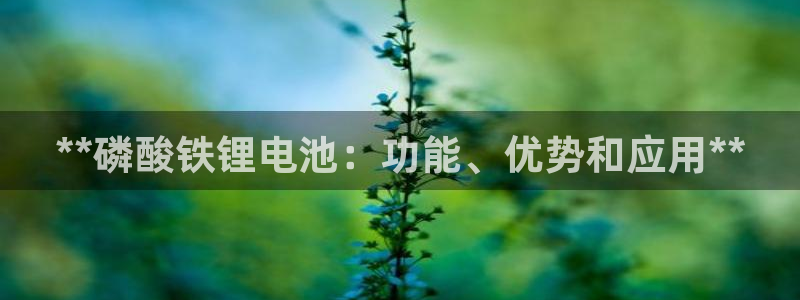 尊龙凯时 - 人生就是搏!提款怎么样