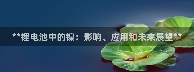 尊龙凯时网站登录