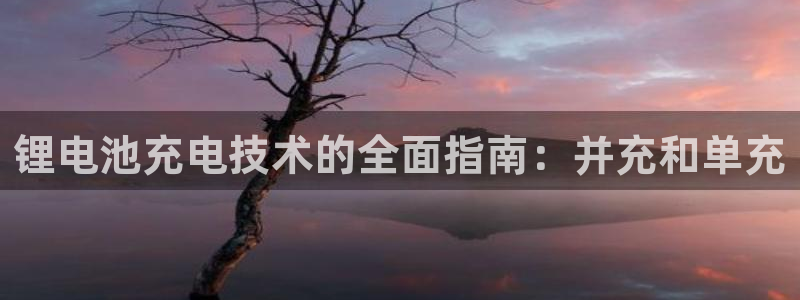 新版尊龙99