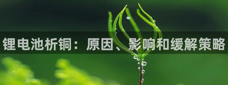 尊龙凯时人生就是搏技术实力