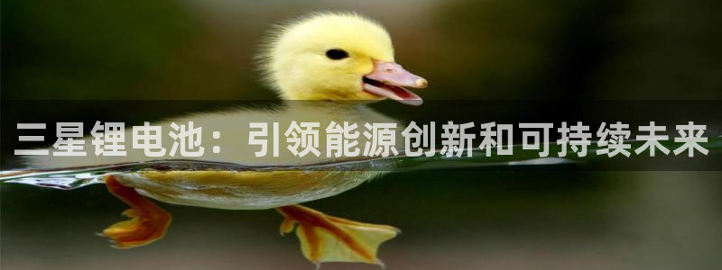 凯时kb88公司简介