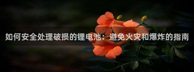 凯时尊龙官网网址