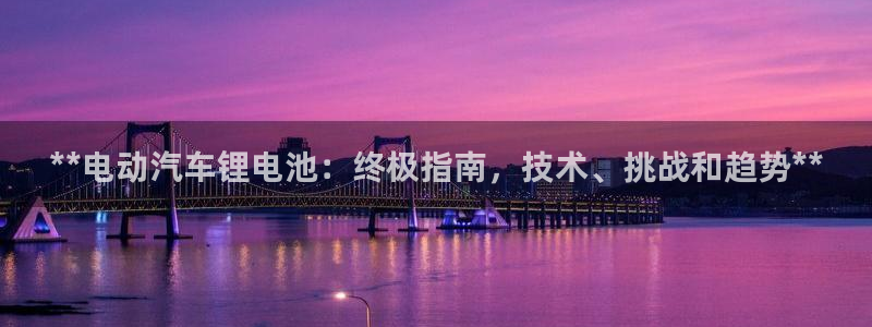 尊龙凯时代理