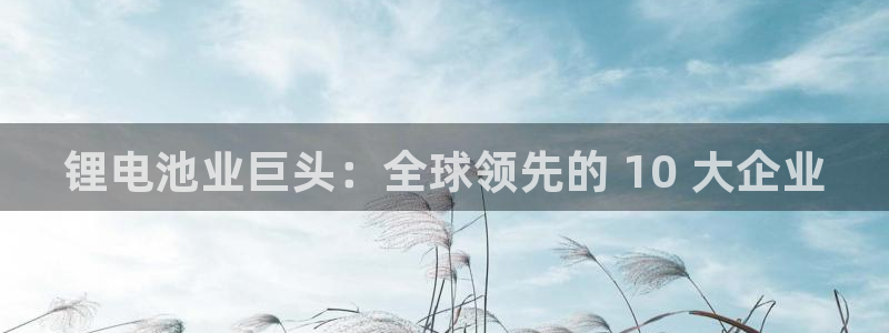 AG尊龙凯时注册