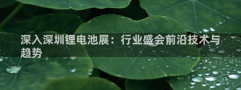 尊龙凯时代理