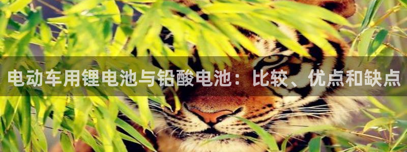 尊龙人生手机版都去ag发财网