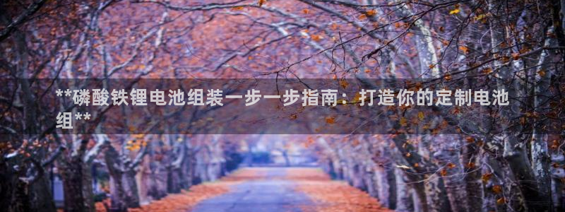 尊龙凯时的企业文化