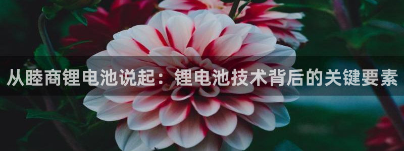 尊龙人生就是博菲律宾台子