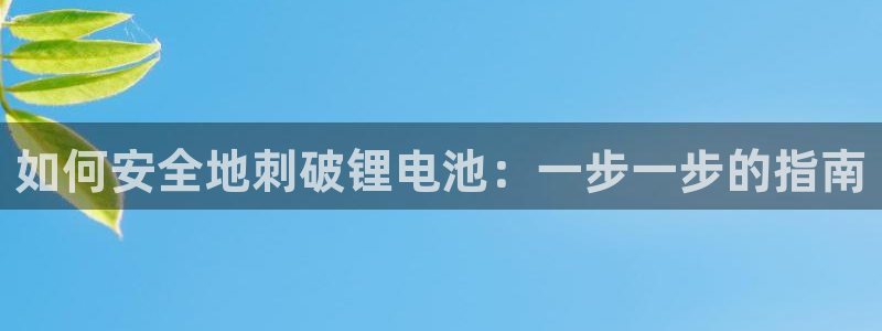 尊龙凯时代理能提出来不