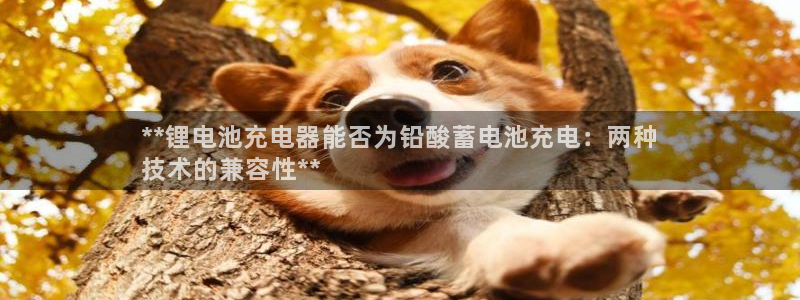 尊龙凯时为什么输了钱