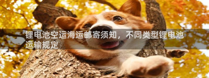 尊龙集团有限公司官网地址