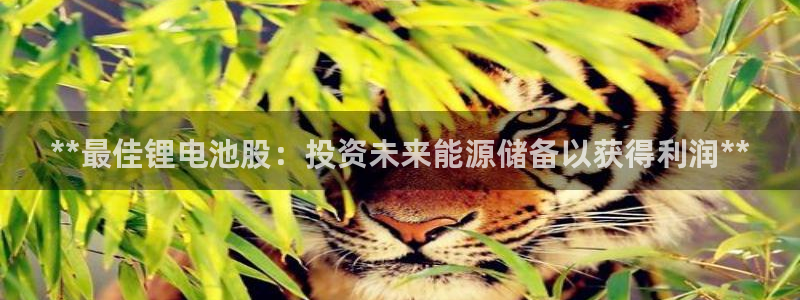 尊龙z6集团