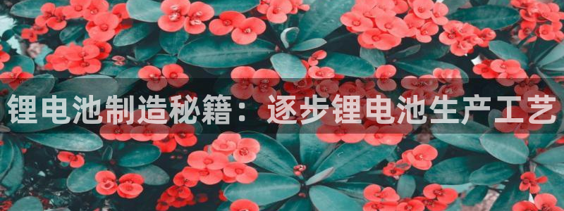 尊龙凯时老板是谁
