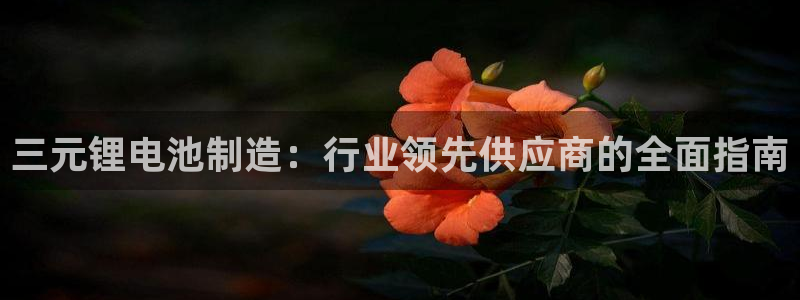 尊龙z6.con