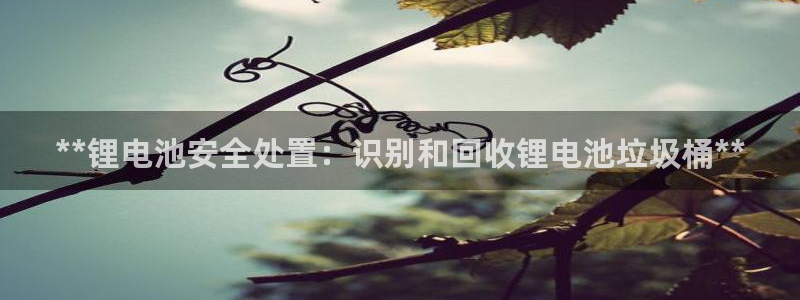 尊龙凯时法拉币