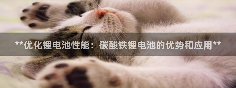 尊龙人生就是博旧版现