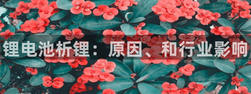 尊龙人生就是博菲律宾台子