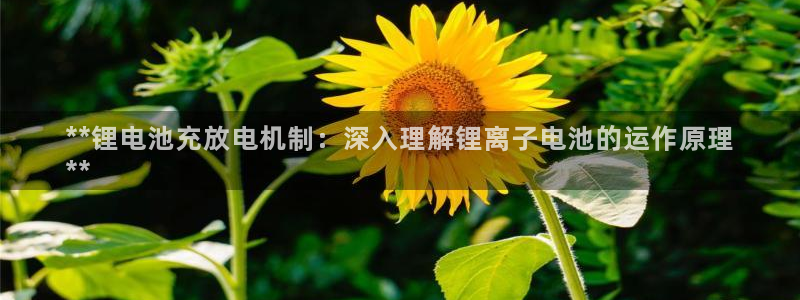 尊龙现金推荐ag发财网