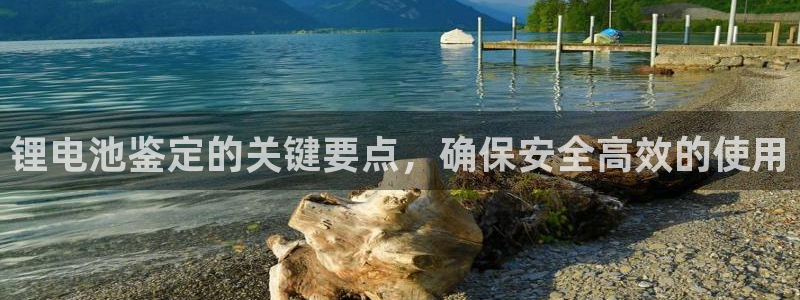 尊龙现金一下指导AG发财网