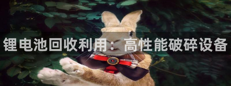尊龙人生就是博电脑版