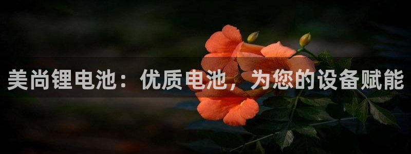 尊龙官网手机版