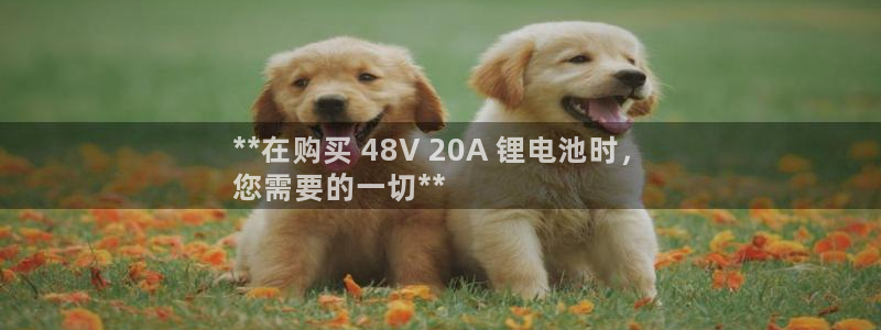 尊龙z6平台