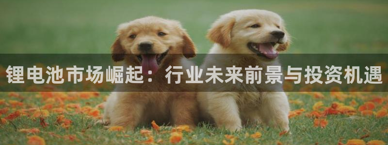ZL尊龙凯时集团