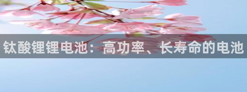 尊龙凯时输钱的原因