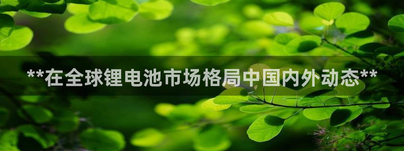 尊龙官网免费下载安装