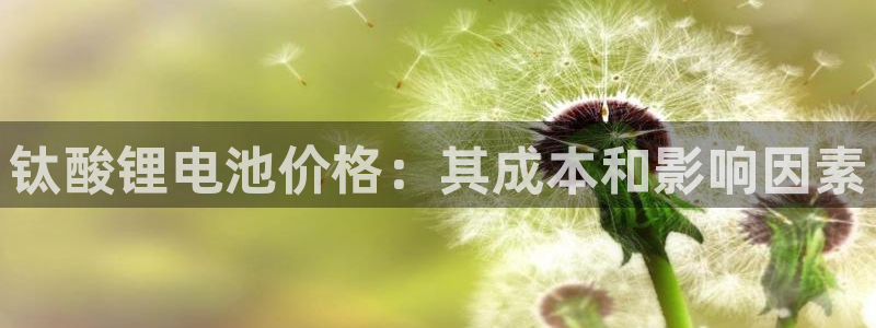 尊龙实业有限公司属于国企吗