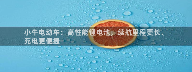 d88尊龙官网手机app