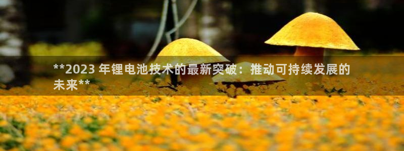尊龙凯时官网入口