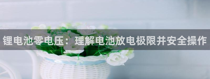 z6com尊龙凯时百家乐下载
