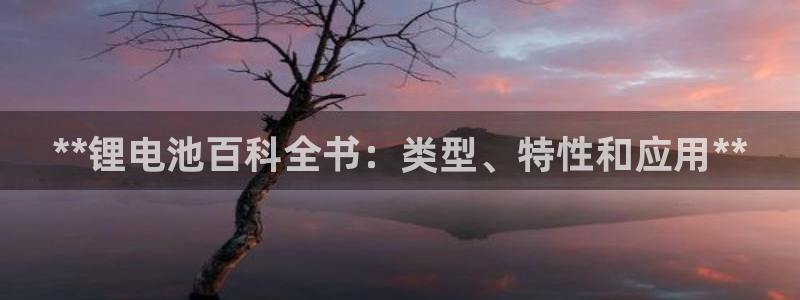 尊龙凯时人生就是搏包装优势