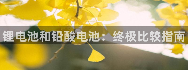 尊龙在线登录官网