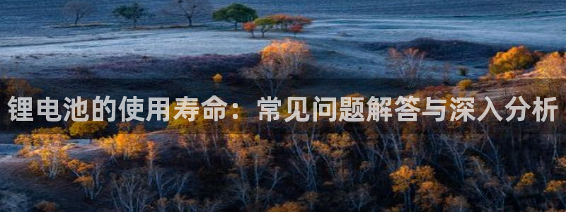 尊龙人生就是-首页(中国)有限公司