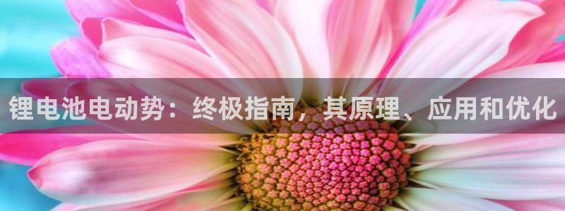 ag尊龙怎么样