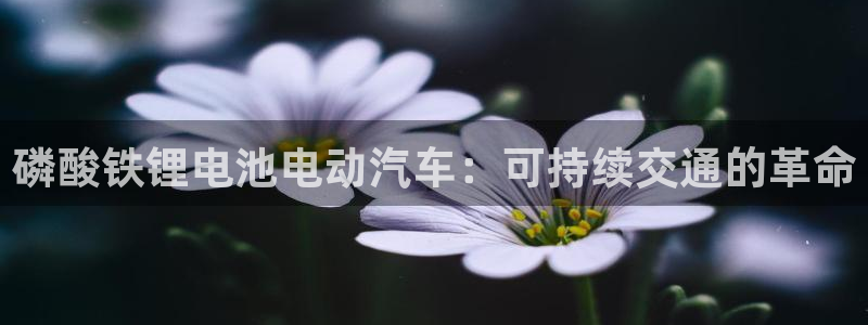 尊龙旗舰app