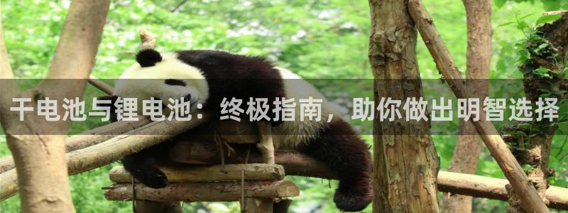 尊龙d88现金关注ag发财网