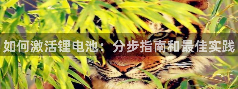 尊龙凯时能做退米么