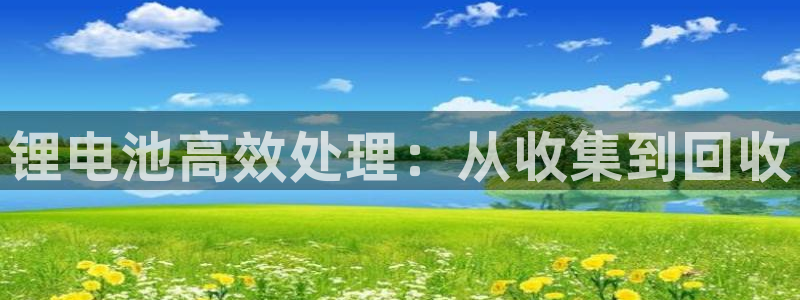 尊龙z6