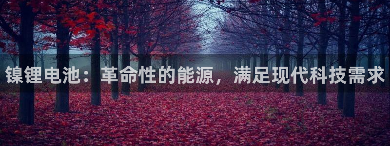 尊龙专访视频