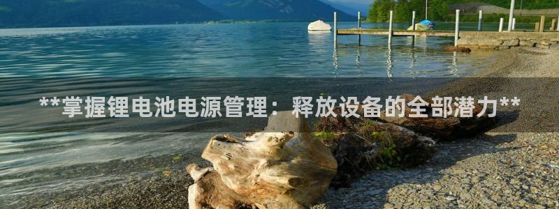 尊龙游戏官网