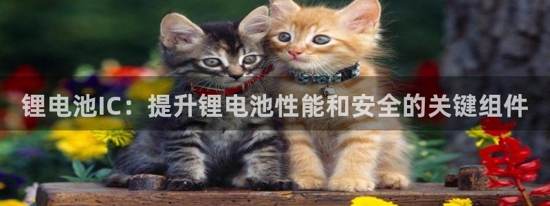 凯时kb88官网网址